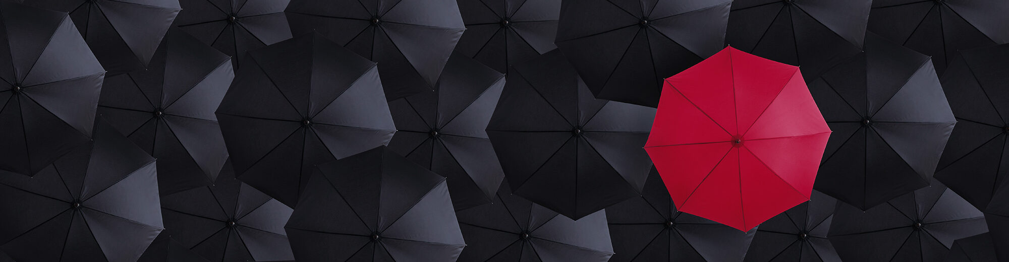 Overhead view of many black umbrellas with a single red umbrella standing out among them.